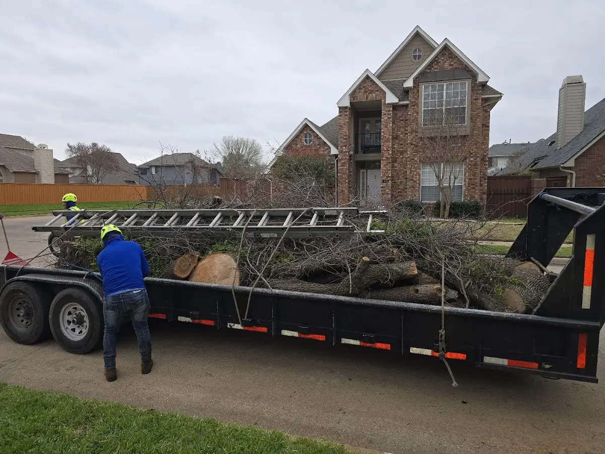 Expert Lot Clearing with proper safety equipment in Berthoud